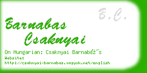 barnabas csaknyai business card